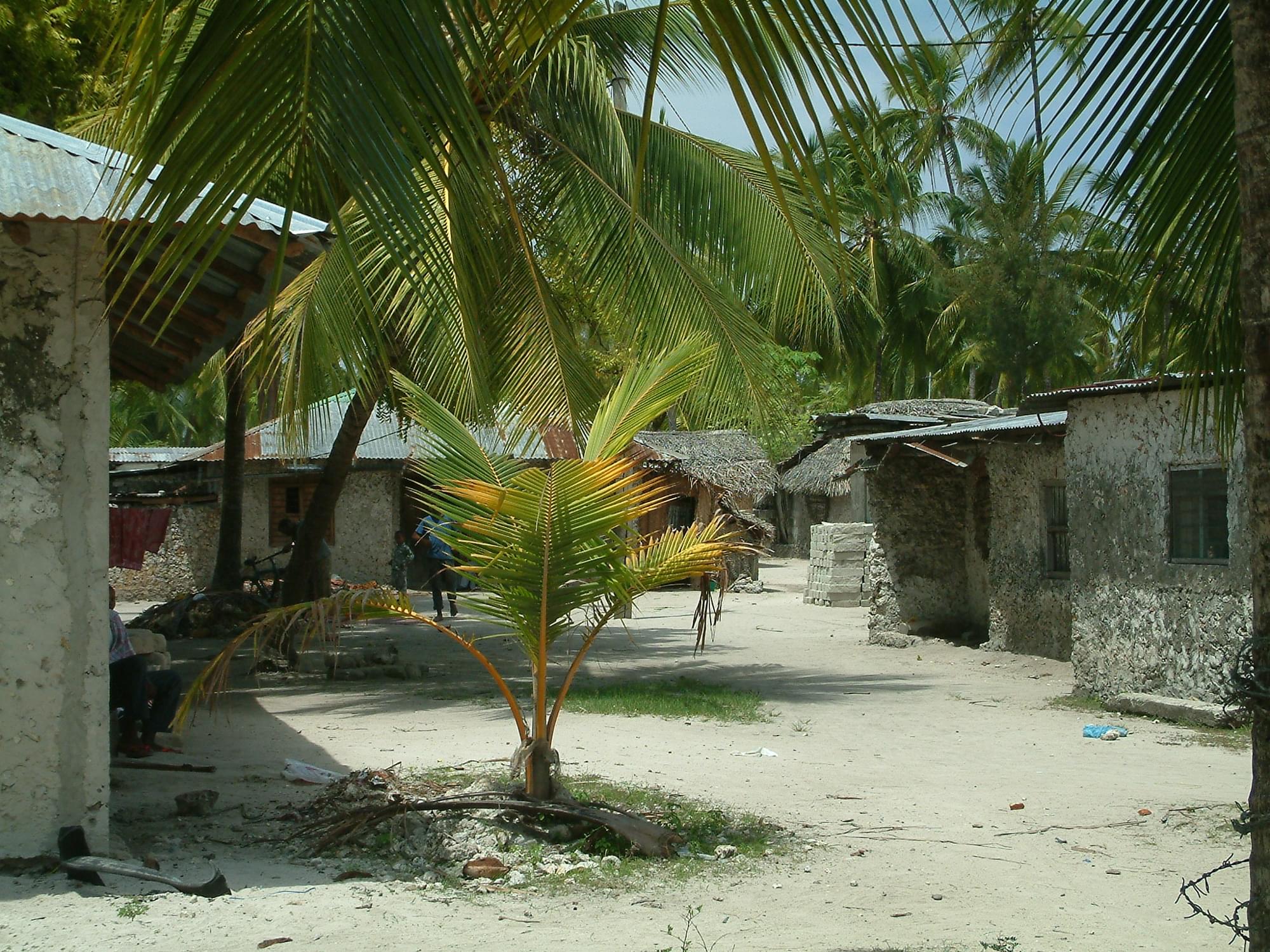 20040129   Zanzibar 202